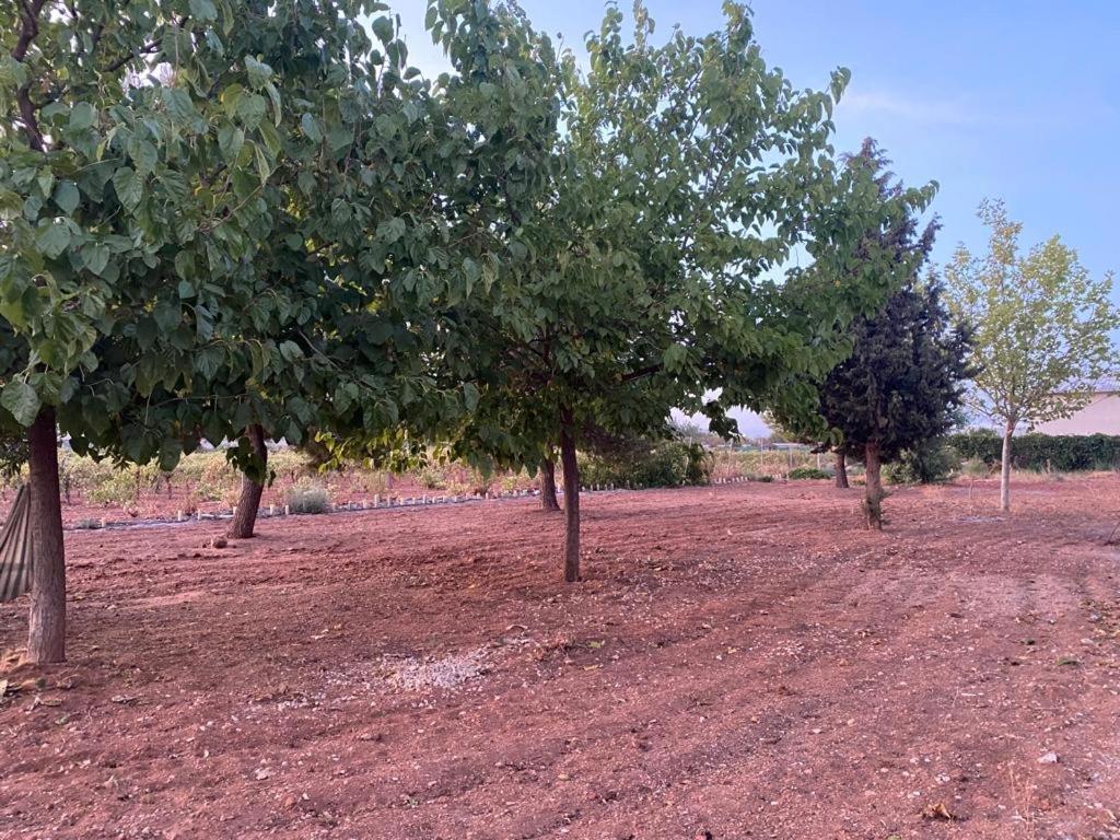 Casa Rural La Hontanilla Villa Miguel Esteban Dış mekan fotoğraf