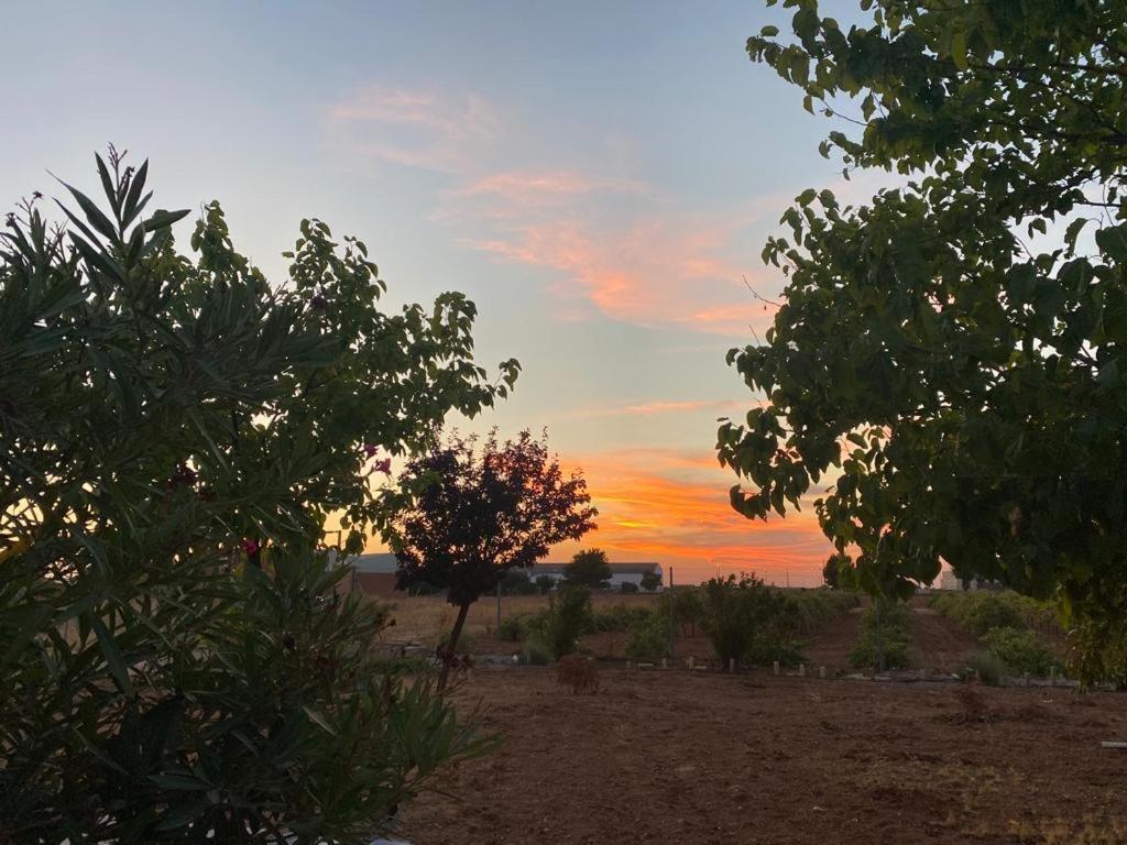 Casa Rural La Hontanilla Villa Miguel Esteban Dış mekan fotoğraf